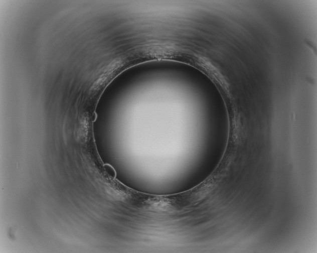 X0000100840113200806201200