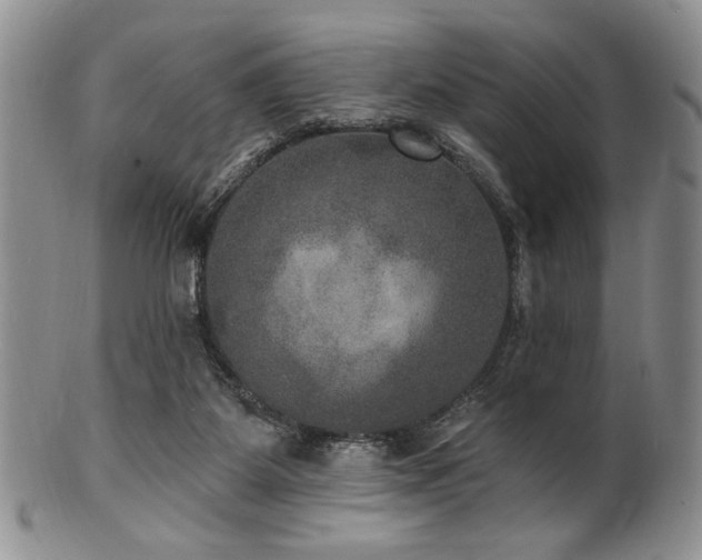 X0000100840115200806201200