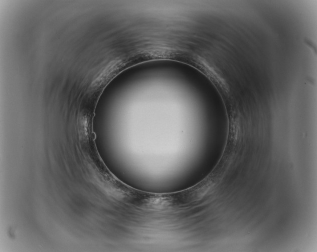 X0000100840117200806201200