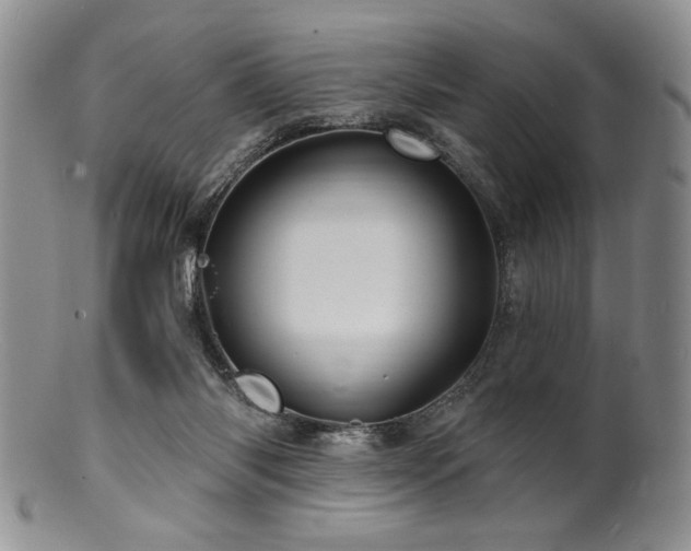 X0000100840118200806201200