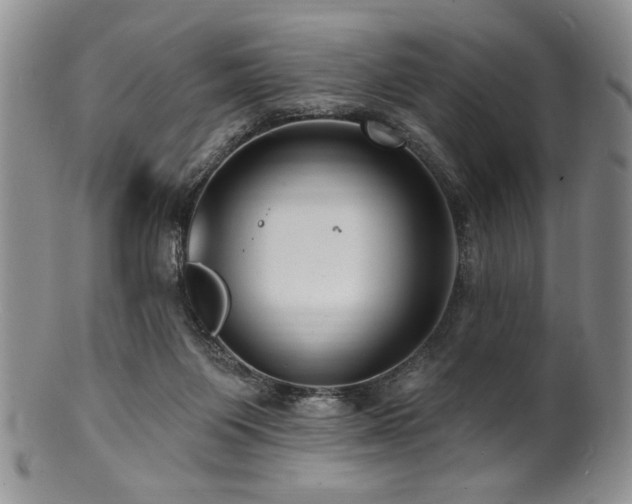 X0000100840119200806201200