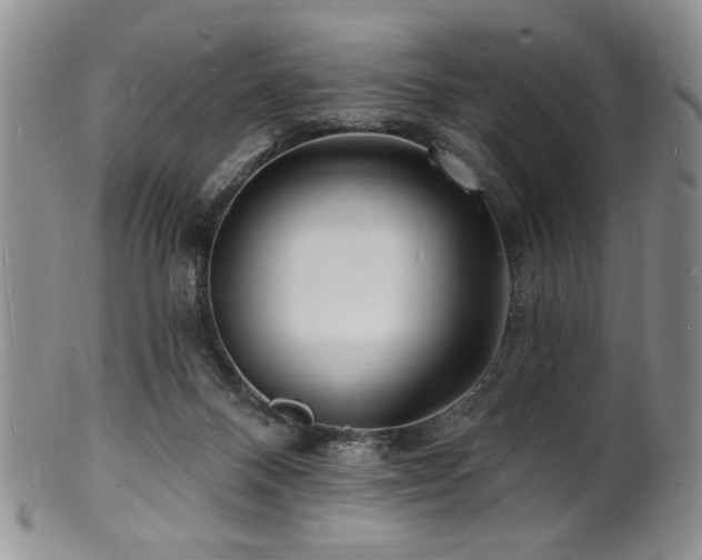 X0000100840120200806201200