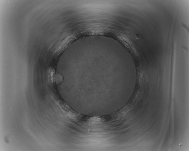 X0000100840123200806201200