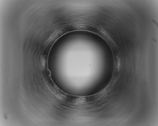 X0000100840124200806201200