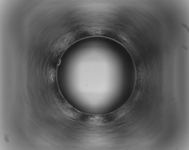 X0000100840125200806201200