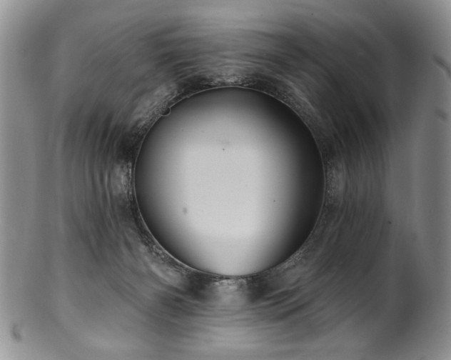 X0000100840126200806201200