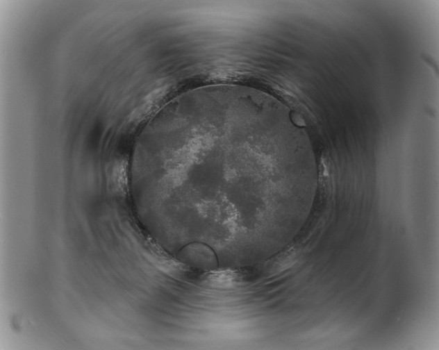 X0000100840127200806201200