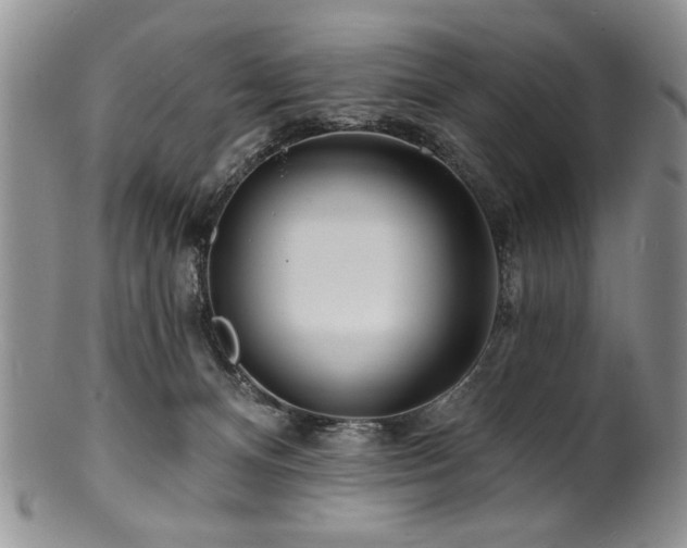 X0000100840128200806201159