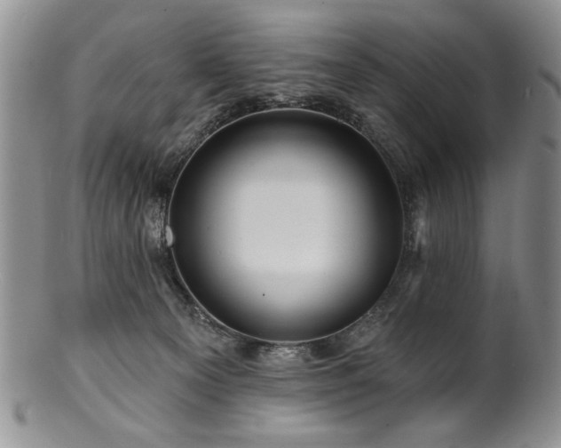 X0000100840129200806201159