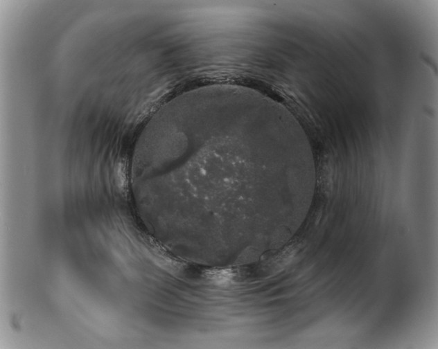 X0000100840131200806201159