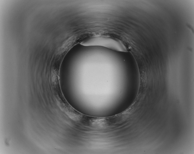 X0000100840132200806201159