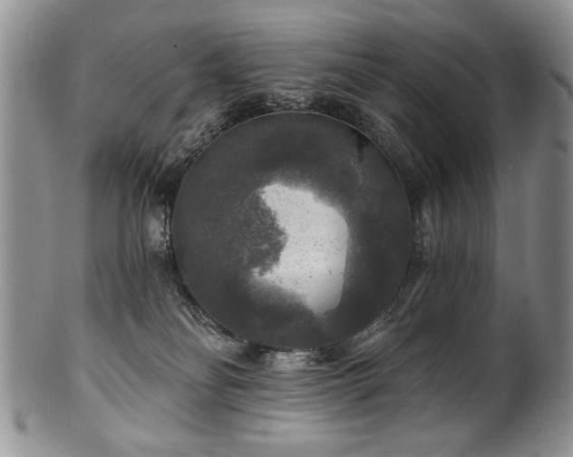 X0000100840134200806201159