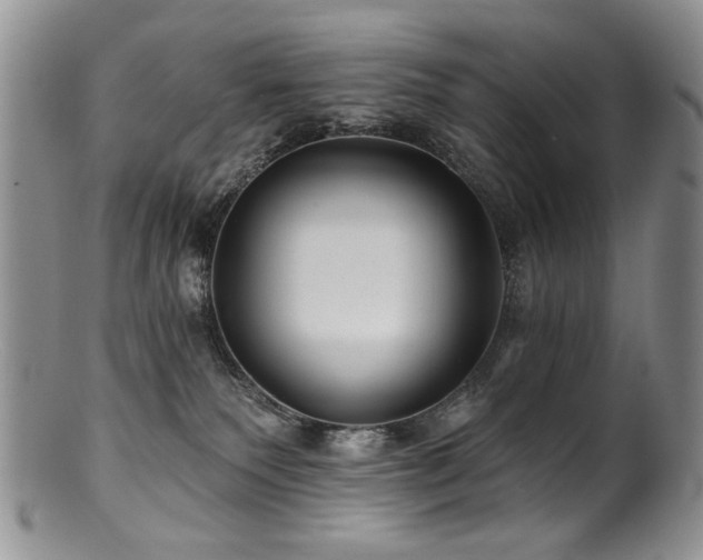 X0000100840135200806201159