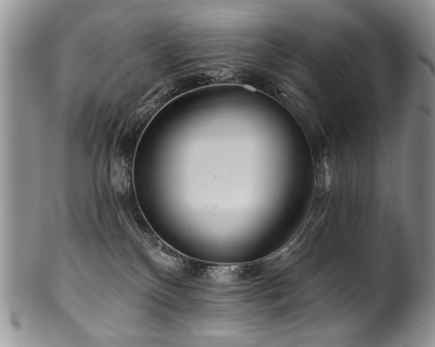 X0000100840136200806201159