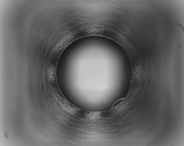 X0000100840138200806201159