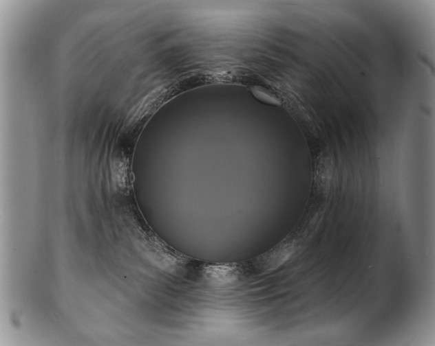 X0000100840139200806201159