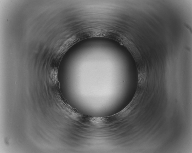 X0000100840142200806201159