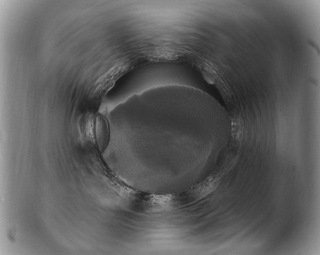 X0000100840143200806201159