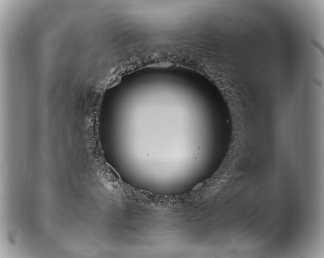 X0000100840144200806201159