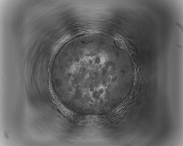 X0000100840145200806201159