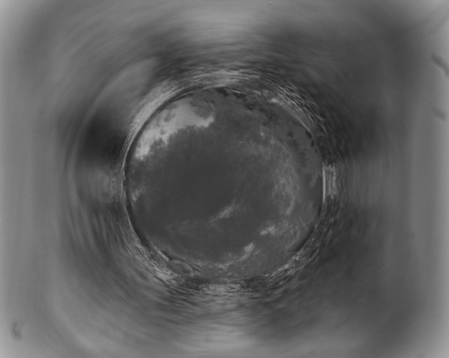 X0000100840147200806201159