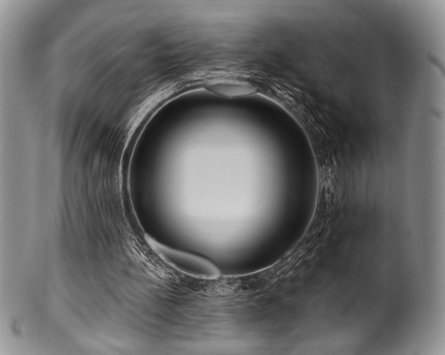 X0000100840148200806201159