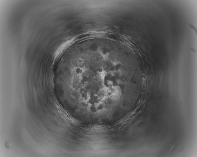 X0000100840149200806201159