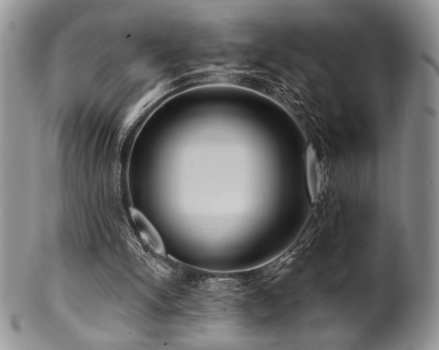 X0000100840150200806201159