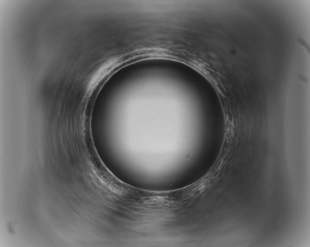 X0000100840151200806201159