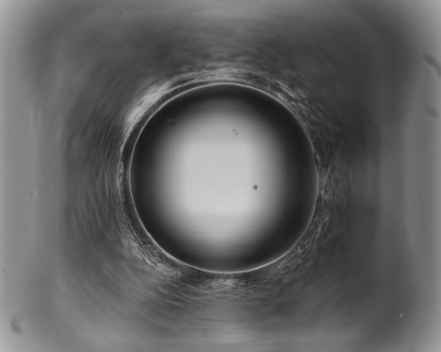 X0000100840152200806201159