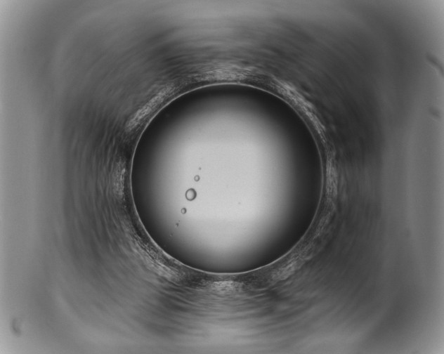 X0000100840153200806201159