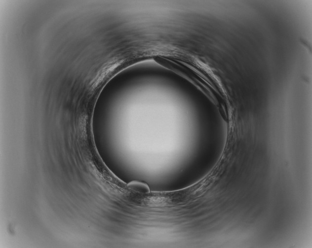 X0000100840154200806201159