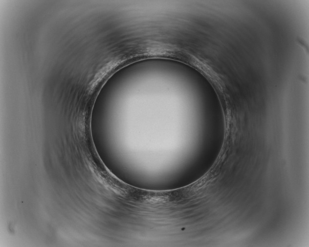 X0000100840155200806201159