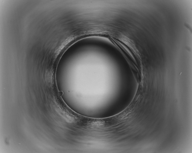 X0000100840156200806201159