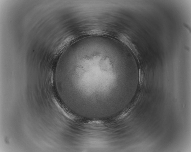 X0000100840157200806201159