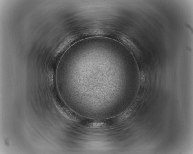 X0000100840158200806201159