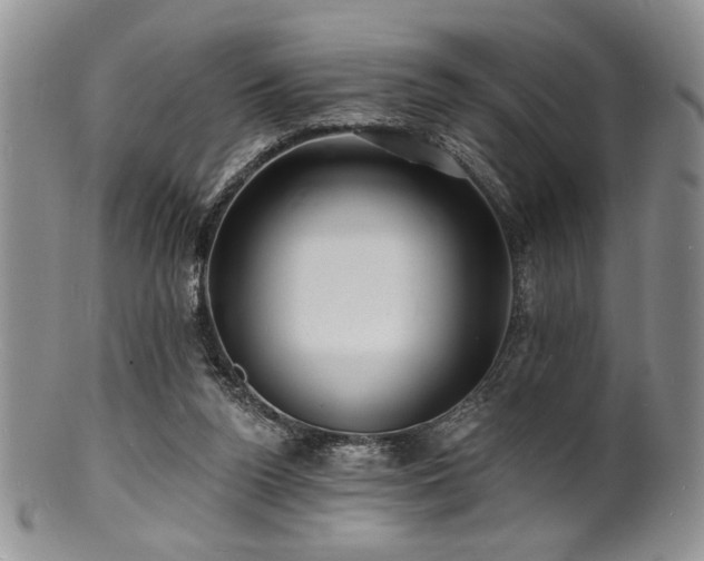 X0000100840160200806201159