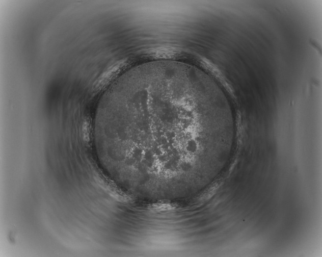 X0000100840161200806201159