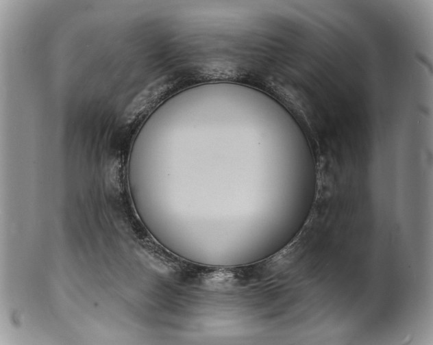 X0000100840162200806201159