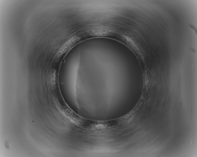 X0000100840163200806201159