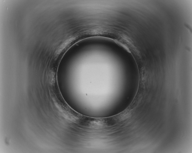 X0000100840164200806201159