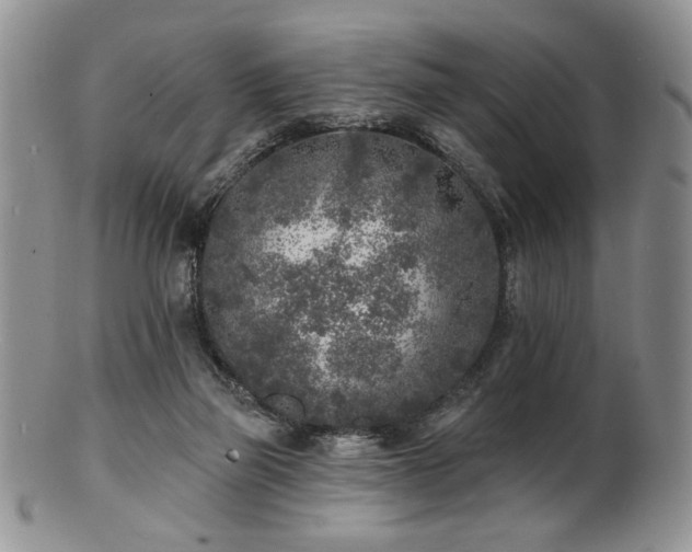 X0000100840165200806201159