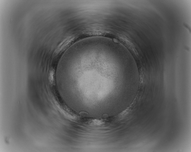 X0000100840166200806201159