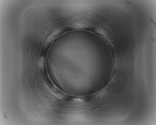 X0000100840167200806201159