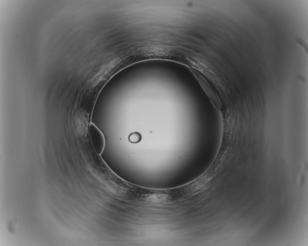 X0000100840168200806201159