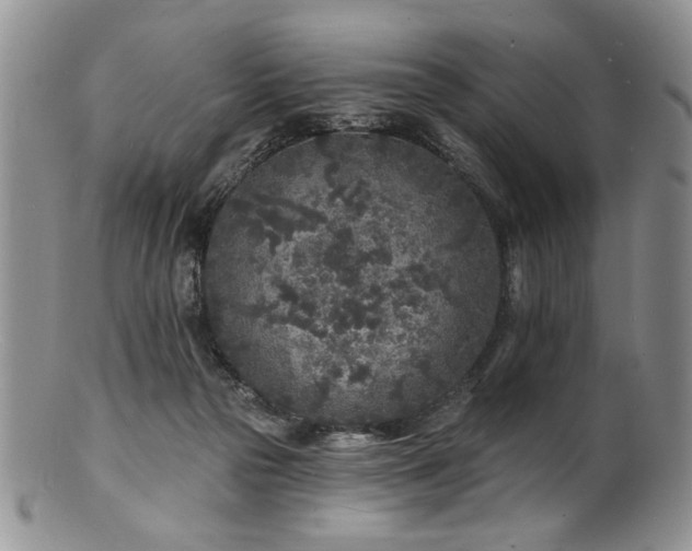 X0000100840169200806201159