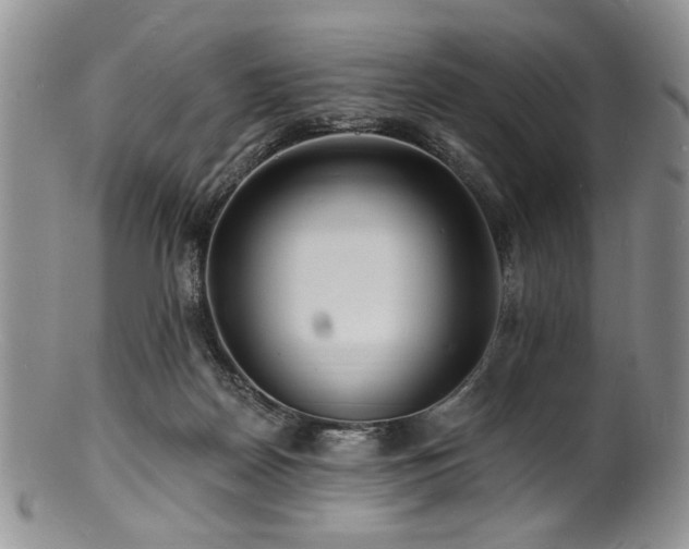 X0000100840170200806201159