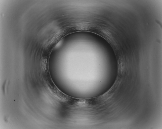 X0000100840171200806201159