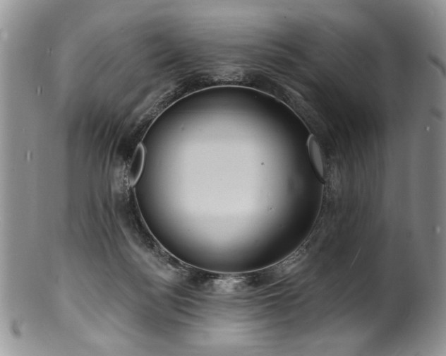 X0000100840172200806201159