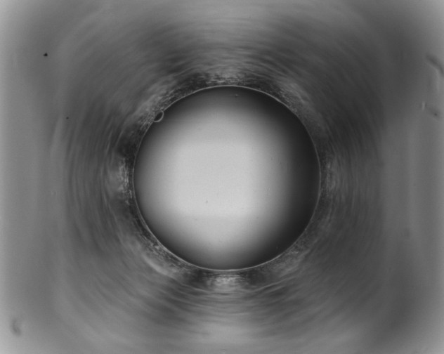 X0000100840173200806201159